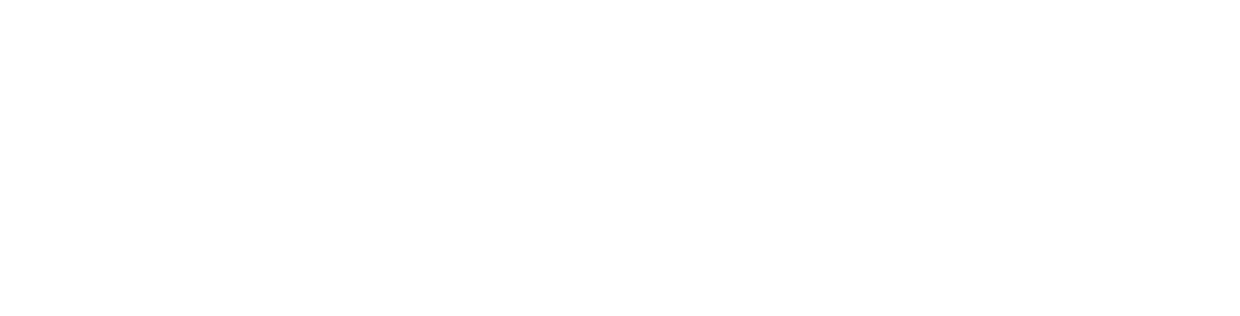 Nubian Square Investment Advisors white horizontal logo